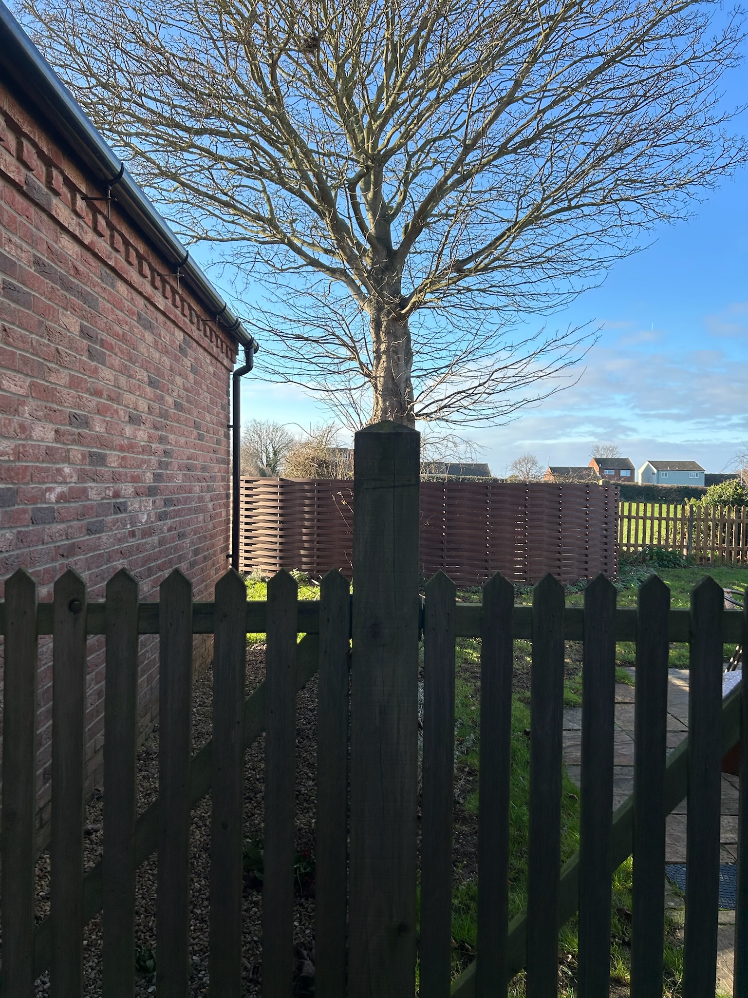 Path from Staithe to the dunes