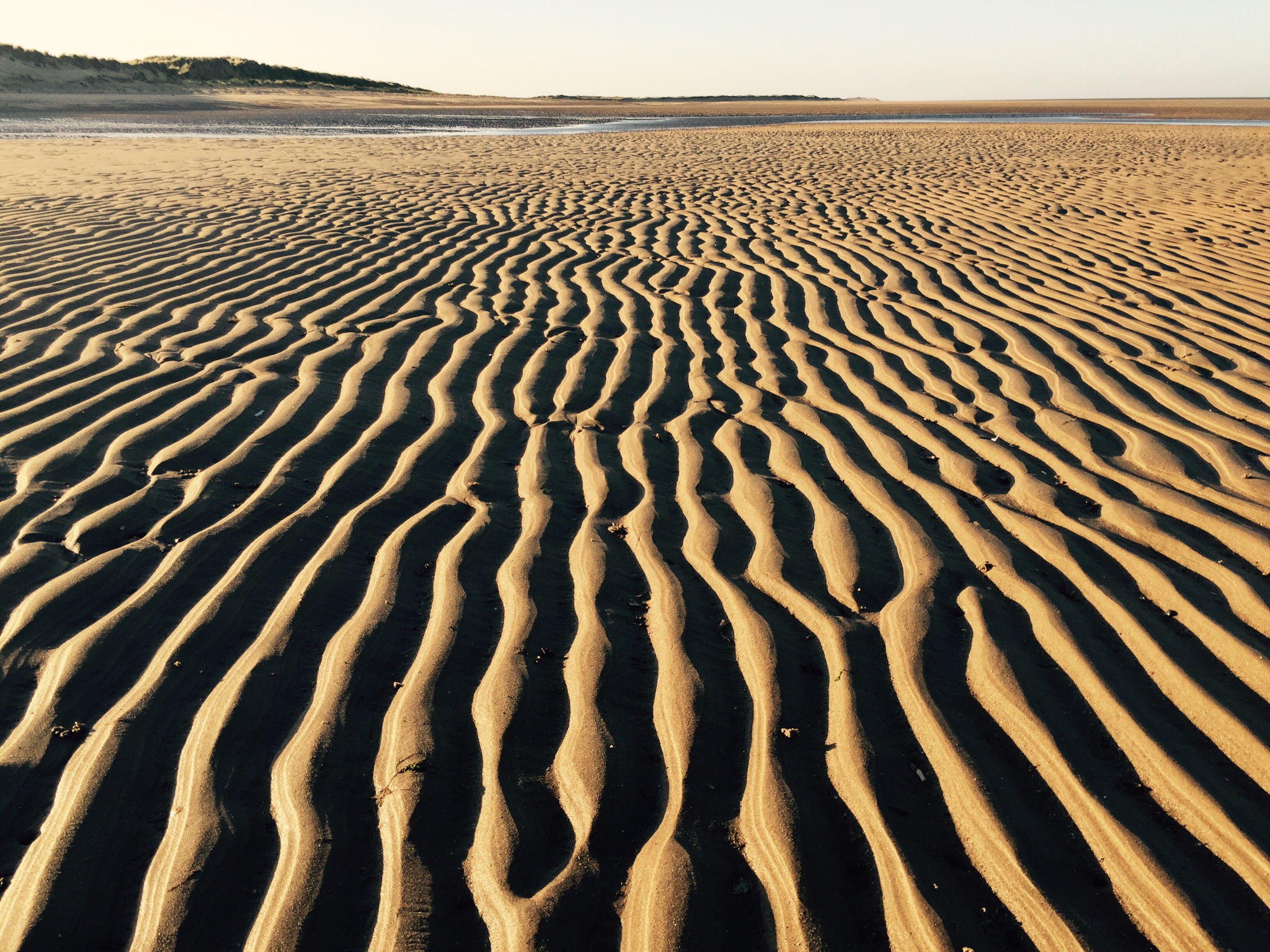 Holkham beach nearby