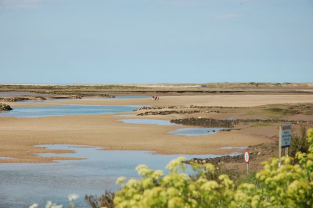 The Local Staithe Low Tide