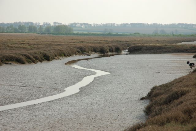 Low tide in the salt marshes
